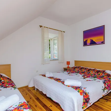 Orka Ντουμπρόβνικ